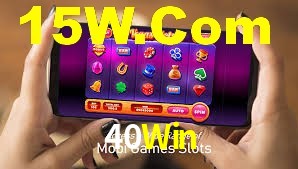 Premium Interface 40Win